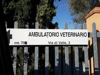 Ambulatorio Veterinario CECILIA STOLFi