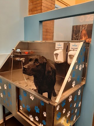 Zampa! Dog Wash Self-Service