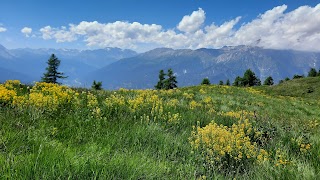 Parco naturale del Gran Bosco di Salbertrand