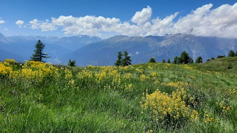 Parco naturale del Gran Bosco di Salbertrand