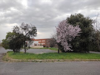 ITTS Alessandro Volta - sede di Guidonia