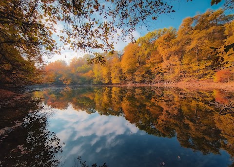 Parco naturale regionale Boschi di Carrega