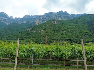 Hotel Ristorante Monte Baldo