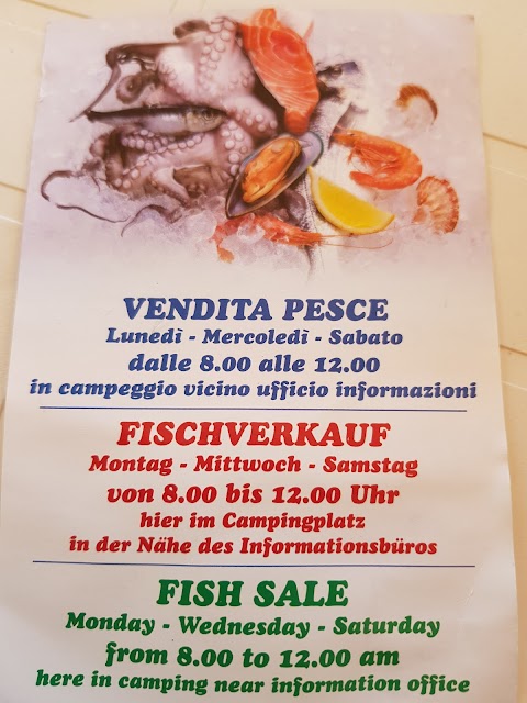 Vendita Pesce--Fischhändler