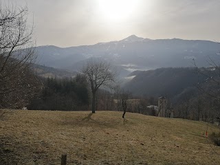 Parenti Luigi e Figli - Macchine Agricole e Forestali