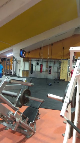 Lorenzo Reposo Gym Club Societa' Sportiva Dilettantistica A Responsabi