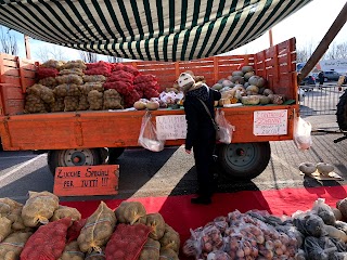 Mercato del Venerdi