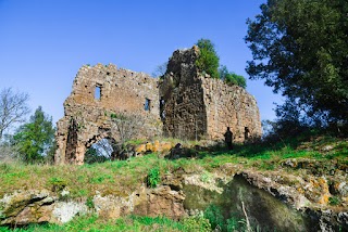 Castel d'Ischia