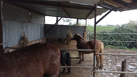 Azienda Agricola Le Palme Di Fantozzi Alessandro