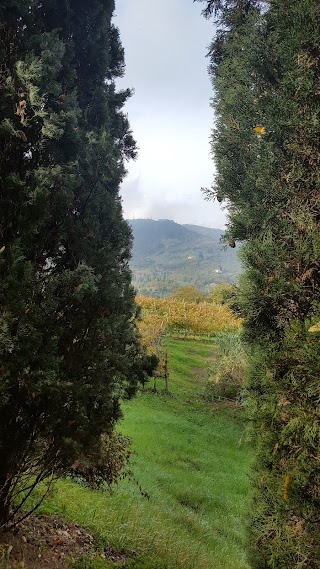 Colline San Biagio Società Semplice Agricola