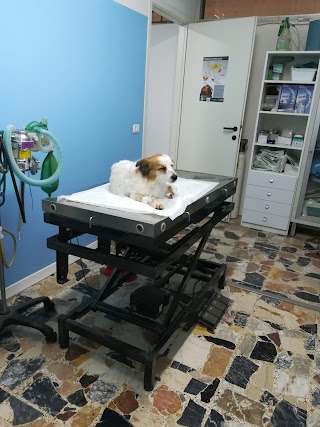 Ambulatorio Veterinario Montecavolo