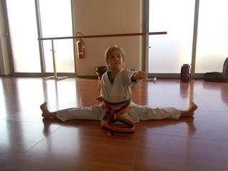 Asd Levanti's karate Accademy