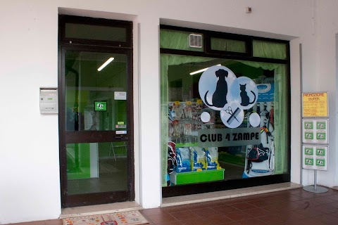 CLUB 4 ZAMPE