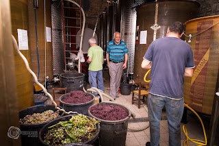 Cantina e Distilleria Artigianale Ricasoli - "Le Vigne del Capitano"