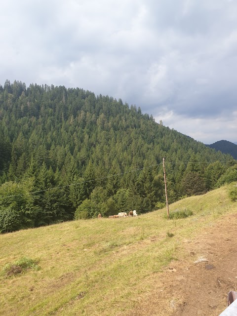 Centro Visitatori per la Flora e la Fauna Mons. Ferrari Tremalzo