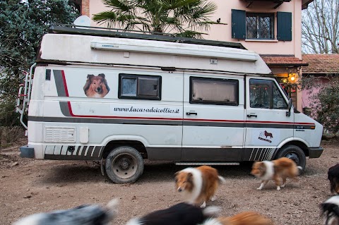 La Casa Dei Collies Di Paola Cuppini