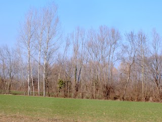 Parco regionale di interesse locale del Reghena, Lemene. Laghi di Cinto