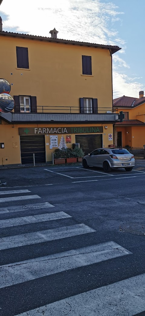 Farmacia Tribulina