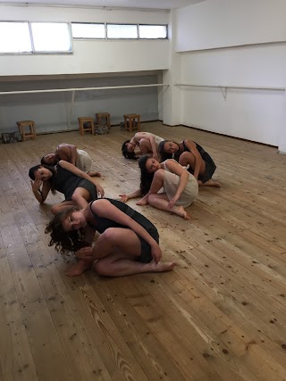 ASDC Studio di Danza