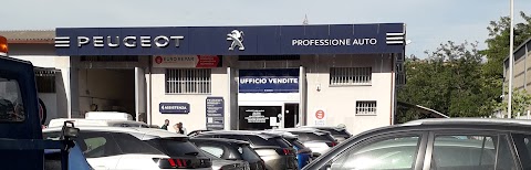 Professione Auto