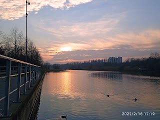 Lago di Niguarda