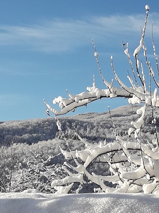 Alimentari Montemignaio