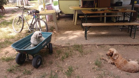 il Giardino di Forest