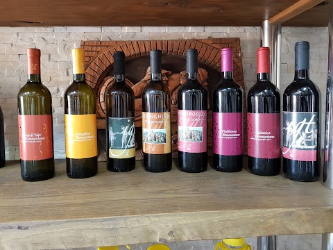 Vini De Martino