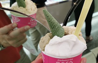 Gelateria Rosa Di Moschetti Giuseppina E C. (S.N.C.)