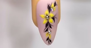 Lash & Nails Art