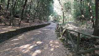 Bosco di Centorbi