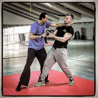 Seregno centro wing chun,difesa personale,arti marziali