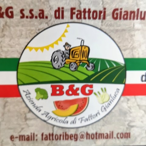 Azienda agricola B&G di Fattori Gianluca