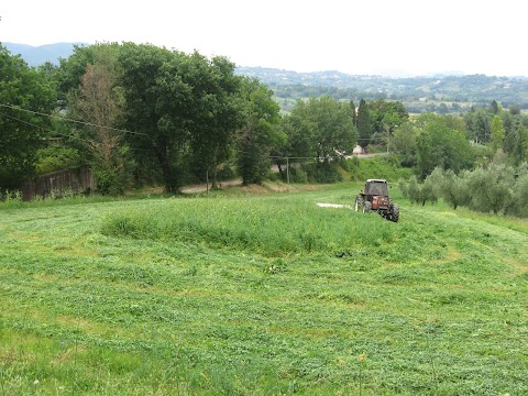 Azienda Agricola Biologica Francesco Testa