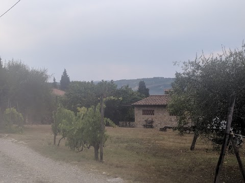 Agriturismo Casavecchia Alla Piazza