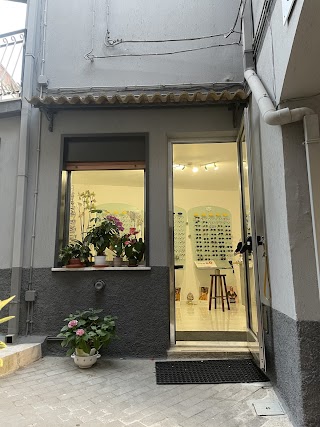 Ottica Gebbia