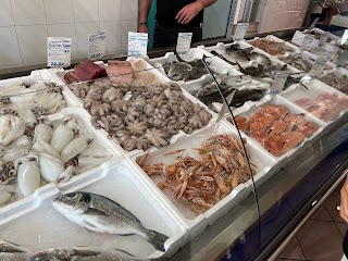 Pescheria Capricci Di Nettuno