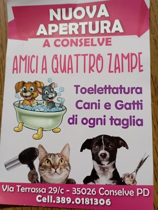 AmiciA Quattro Zampe di Raffaella Gaudino