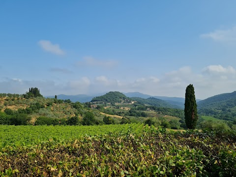 Fattoria L'Ottavo