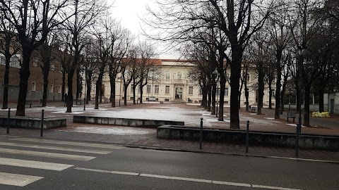 Scuola Primaria Luigi Cadorna