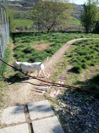 Pensione per cani Zia Paperina