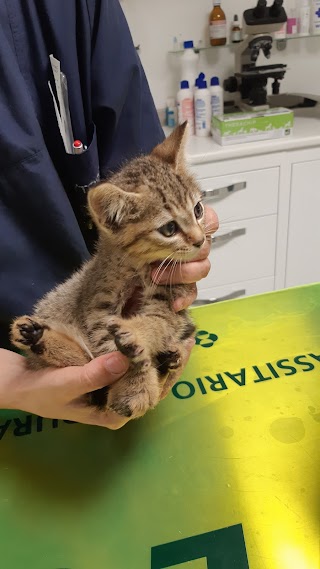 Ambulatorio Veterinario Dott.ssa Campacci Margherita