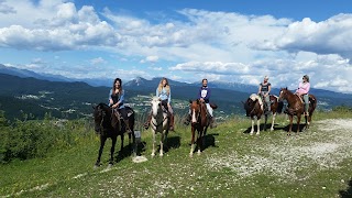 Centro Equestre Il Salice - Sede Estiva (Luglio/Agosto)