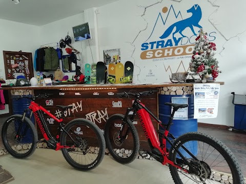 Stray Dogs - Noleggio E-Bike, Tour Guidati, Trekking - Pievepelago Cimone Appennino