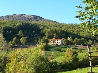 Casale di Sambuceto B&B, Country House