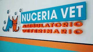 Ambulatorio Veterinario Nuceria Vet