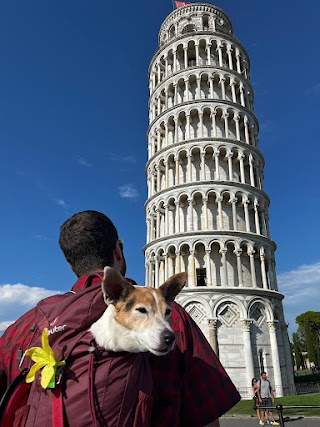 Ambulatorio Veterinario Marino