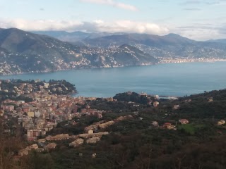 Shipping Di Del Cap. Renato Segoni