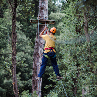 Il Pineto Parco Avventura