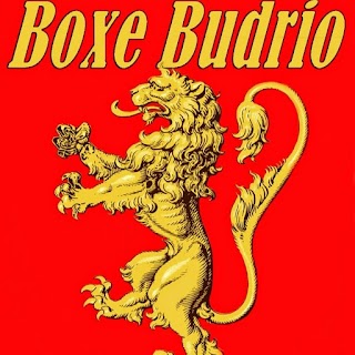 Boxe Budrio